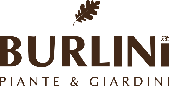 logo fratelli Burlini